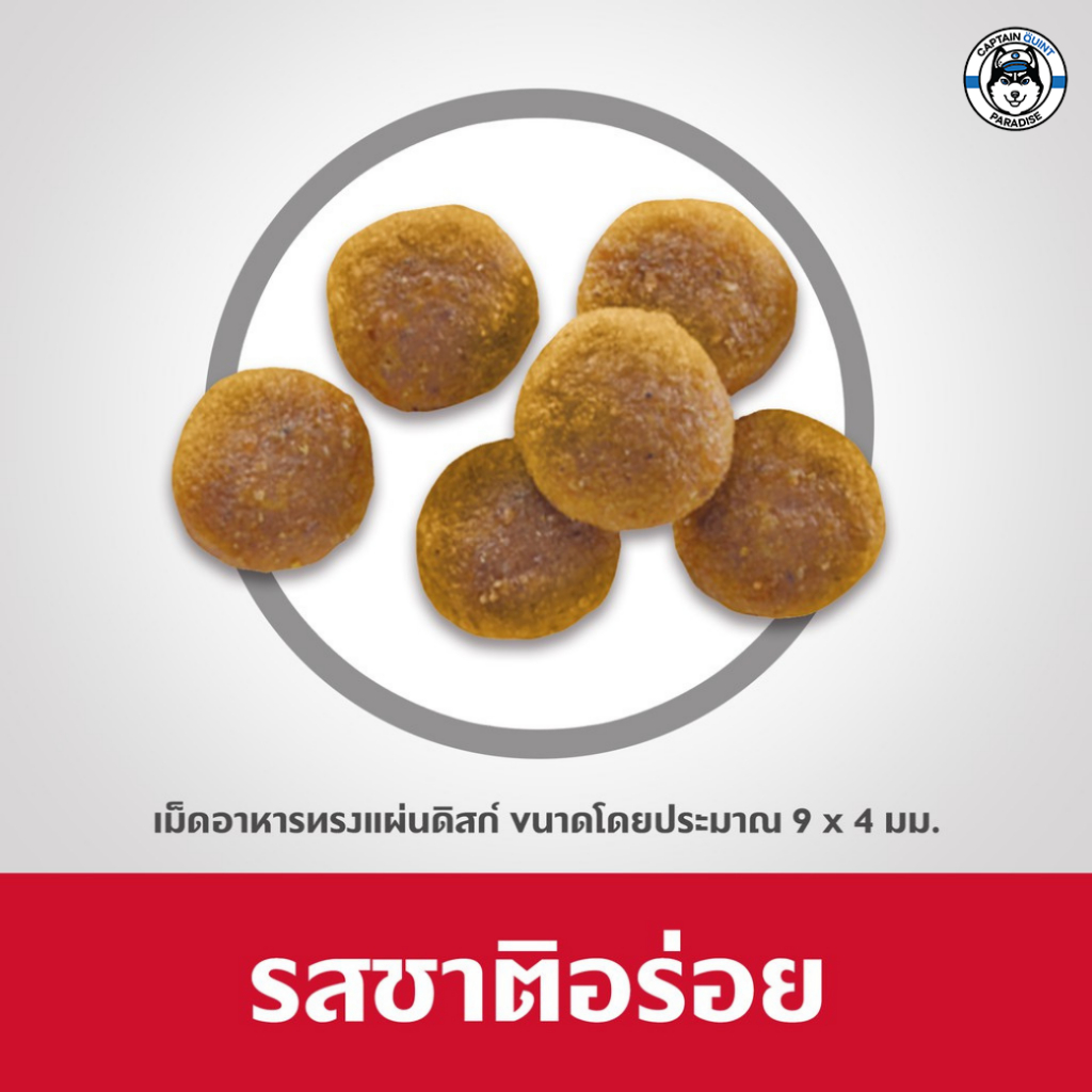 Hill's Science Diet Adult Chicken Recipe cat food อาหารแมว อายุ 1-6 ปี ขนาด 2 กก. - Image 4