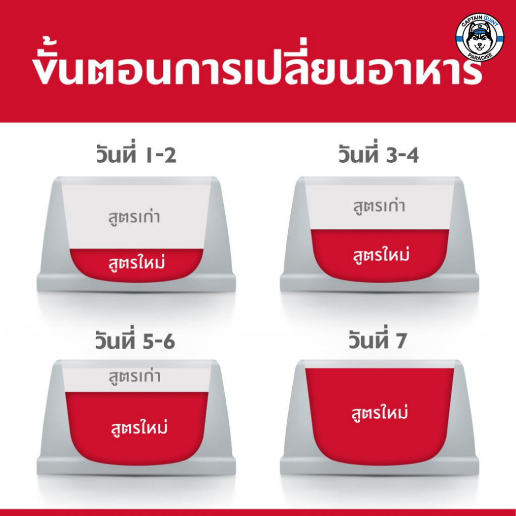 Hill's Science Diet Adult Chicken Recipe cat food อาหารแมว อายุ 1-6 ปี ขนาด 2 กก. - Image 5