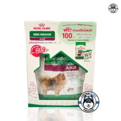 Alternative view of Royal Canin Mini Indoor 500g. เลี้ยงในบ้าน สุนัขโตพันธุ์เล็ก แถมฟรีอาหารเปียก 2 ซอง
