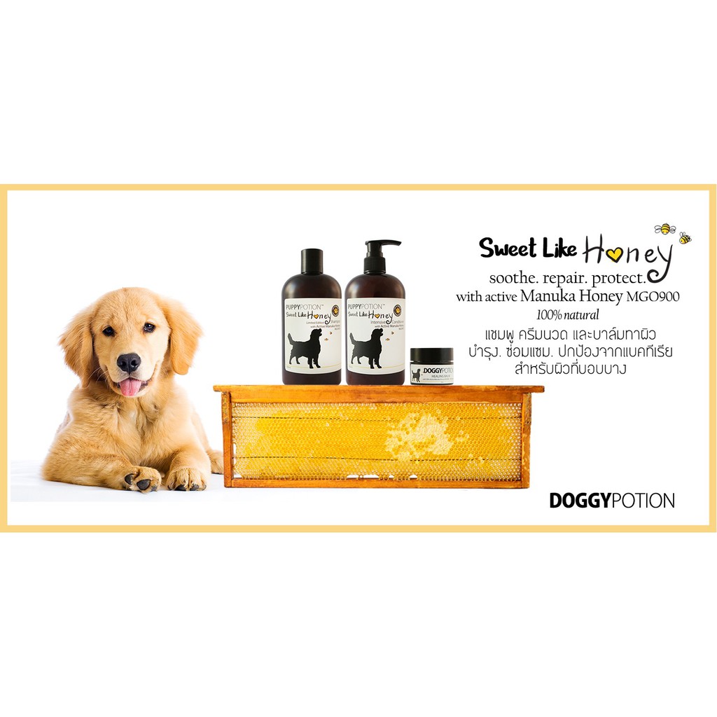 แชมพู Doggy Potion Honey 500ml. - Image 4