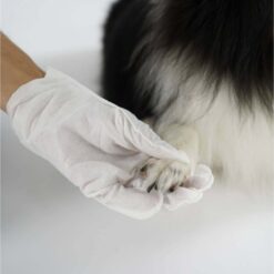 Alternative view of PETSIDE Glove-Shaped Pet wipes แผ่นเปียกทำความสะอาด แบบถุงมือ