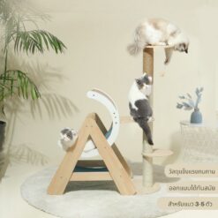 คอนโดแมว Miaofairy คอนโดแมว ฝนเล็บแมว บ้านแมว