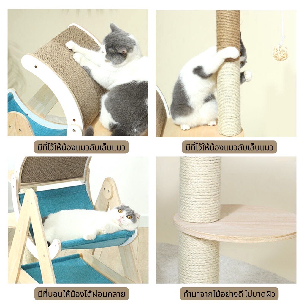 คอนโดแมว Miaofairy คอนโดแมว ฝนเล็บแมว บ้านแมว - Image 5