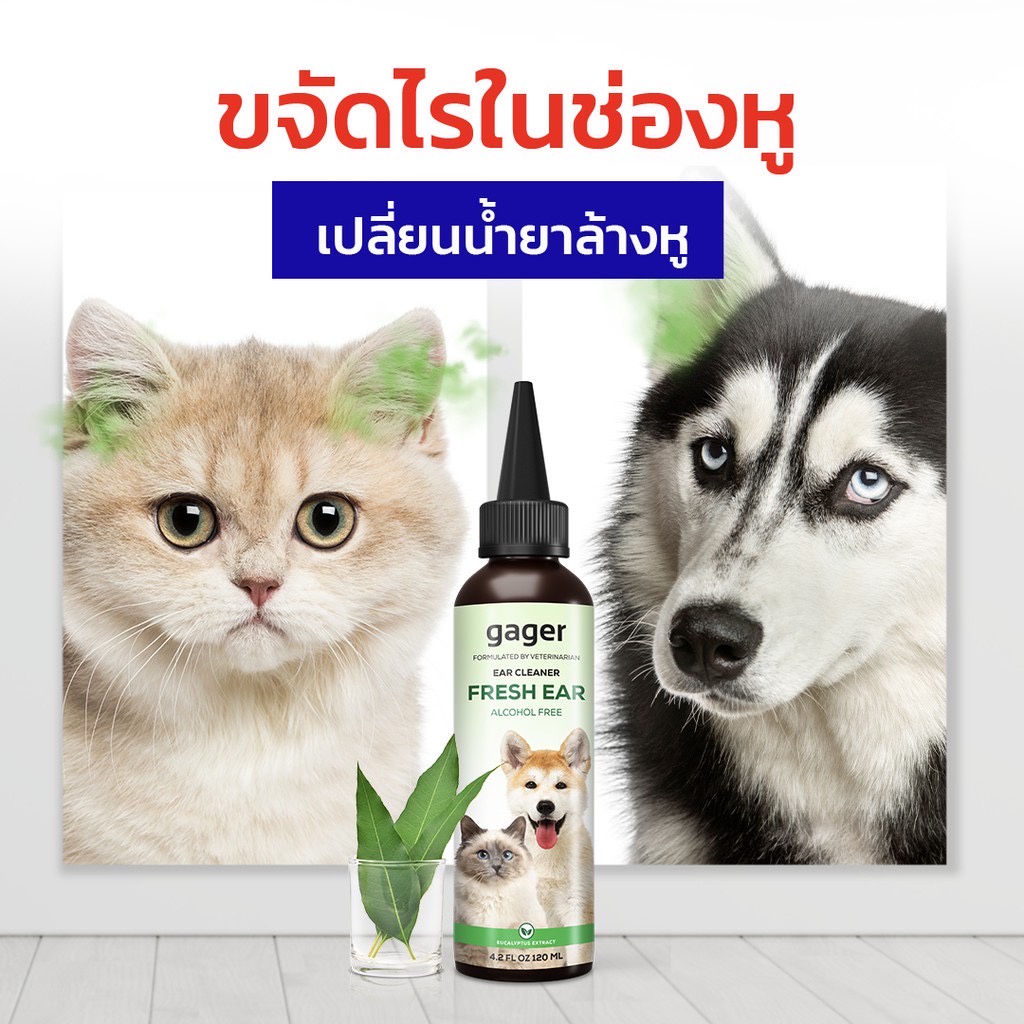 Gager น้ำยาเช็ดหูแมว/หมา โลชั่นทำความสะอาดหู สำหรับสัตว์เลี้ยง ช่วยลดกลิ่น ป้องกันไรหู 120ml. - Image 2