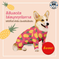 Alternative view of Clawset Fruity Collection ชุดกันขนร่วง ลายผลไม้ มะม่วง ส้ม สัปปะรด
