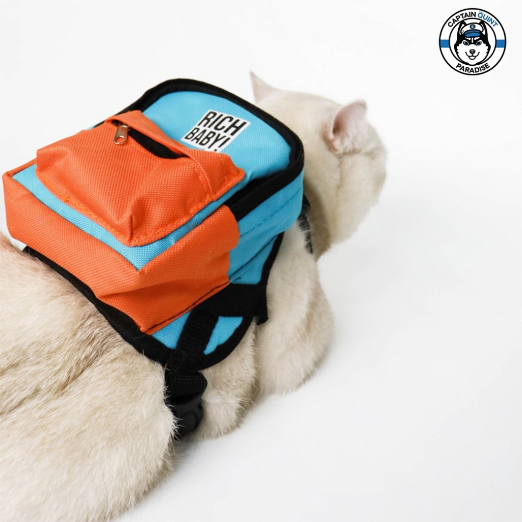 เซ็ทกระเป๋าพร้อมสายจูงหมาแมว Richy Bag กระเป๋าสัตว์เลี้งสุดเท่ พร้อมสายจูง สายรัดอก l Clawset - Image 2