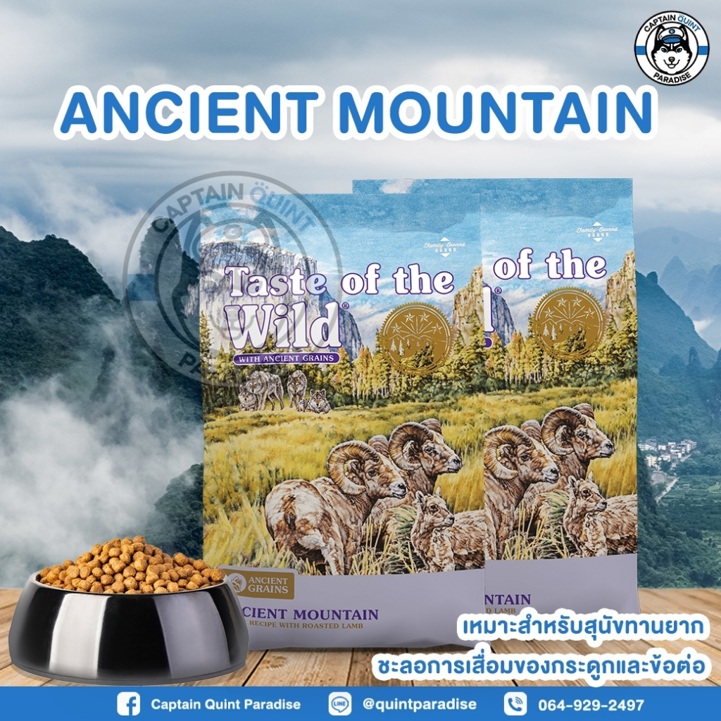 Taste of the wild Ancient Mountain Canine Recipe with Roasted Lamb 680g 1แถม1 - Image 2