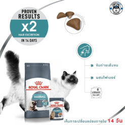 Alternative view of Royal Canin Hairball Care 4KG. อาหารแมวแมวโตอายุ 1 ปีขึ้นไป ช่วยดูแลปัญหาก้อนขน ขนาด 4KG.