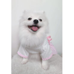Alternative view of ANIMAL-GO-ROUND เสื้อผ้าเครื่องแต่งกาย สัตว์เลี้ยง, หมา, แมว, สุนัข รุ่น SUSHI PINK