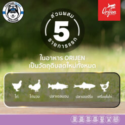 Alternative view of ORIJEN KITTEN FORMULA โอริเจน สูตรลูกแมว 340g - 1.8kg.