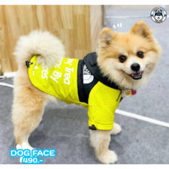 Mellow Dog Neon (เสื้อสำหรับน้องหมาน้องเเมว)