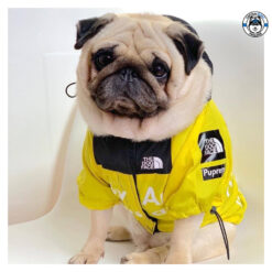 Alternative view of Mellow Dog Neon (เสื้อสำหรับน้องหมาน้องเเมว)