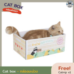 Alternative view of KAFBO Cat box - กล่องลังแมว บ้านแมว ที่ลับเล็บแมว ที่ฝนเล็บแมว มี 3 ลายให้เลือก