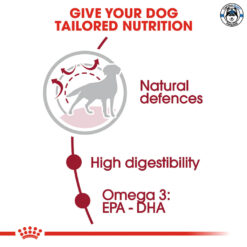 Alternative view of Royal canin Medium Adult สำหรับสุนัขโต พันธุ์กลาง 4kg