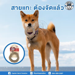 Alternative view of ROSEWOOD : SCENTED WOOD NYLON ของเล่นสำหรับสุนัข