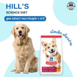 Alternative view of Hill's Science Diet Adult Small Bites อาหารสุนัข อายุ 1-6 ปี (ขนาดเม็ดเล็ก) 2kg.