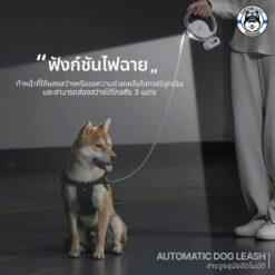 Alternative view of PANDO Automatic Dog Leash แพนโด้ สายจูงสุนัขอัตโนมัติ