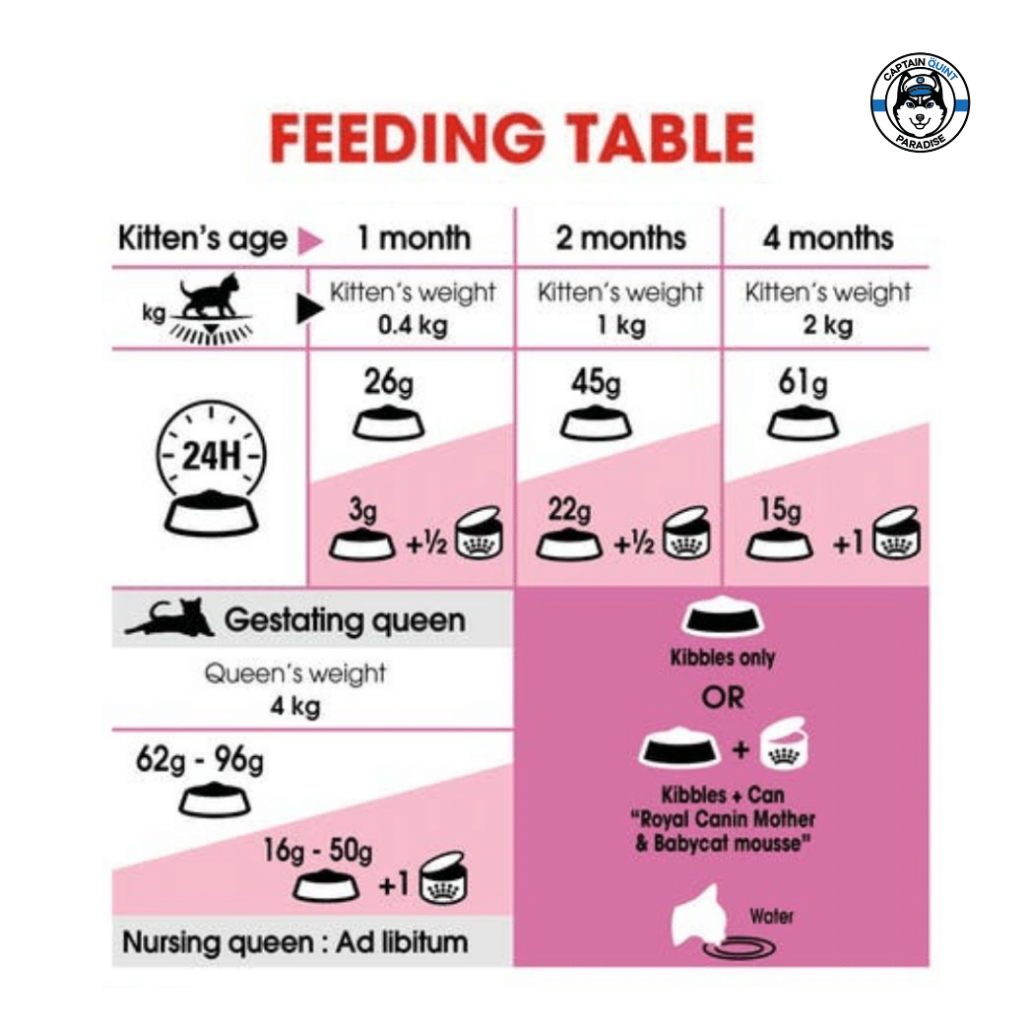 Royal Canin Mother & Baby Cat อาหารลูกแมวแบบเม็ด สำหรับลูกแมวหย่านม-4 เดือนและแม่แมว - Image 5