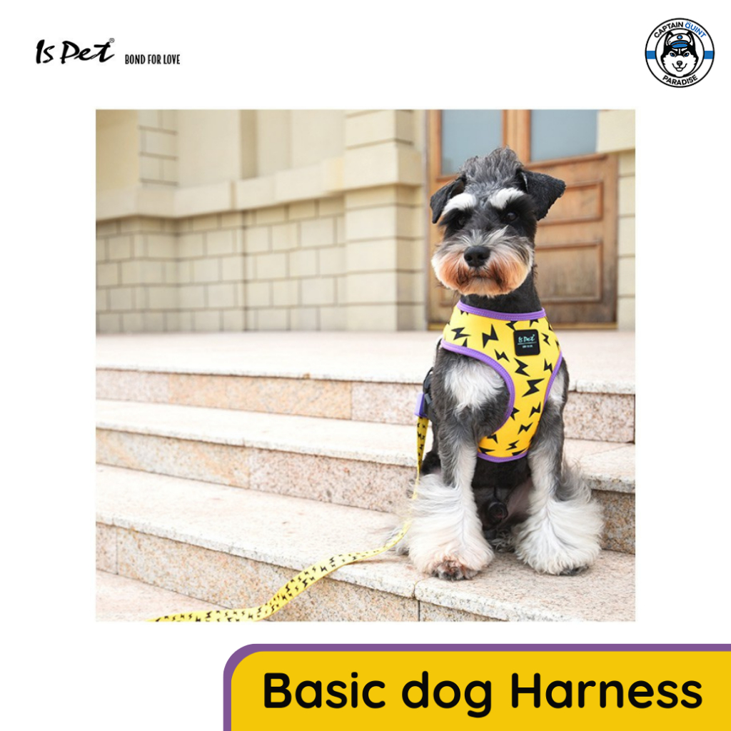 Ispet :Basic Dog Harness สายรัดอก (สีเหลืองลายสายฟ้า) - Image 3