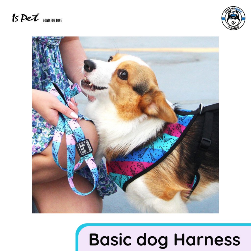 Ispet :Basic Dog Harness สายรัดอก (สีฟ้าลายดาว) - Image 3