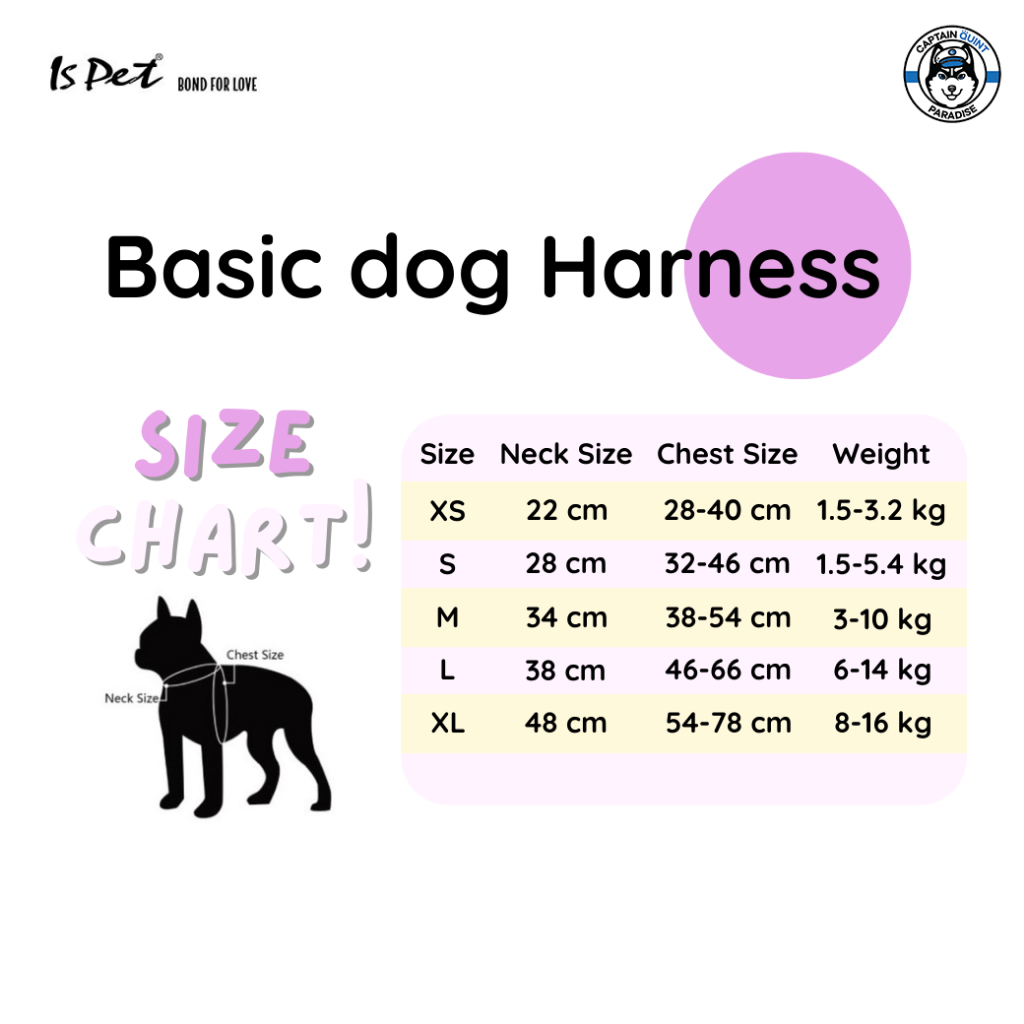 Ispet :Basic Dog Harness สายรัดอก (สีฟ้าลายดาว) - Image 4