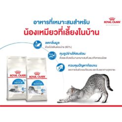 Alternative view of อาหารแมว Royal Canin Indoor 27 อาหารแมวสำหรับเลี้ยงภายในบ้าน