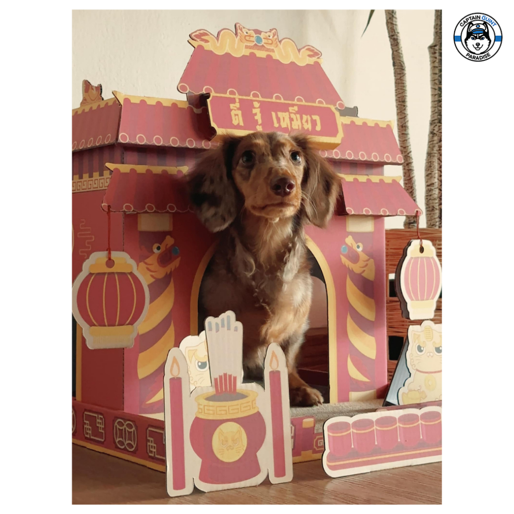 KAFBO : Tee Zhu Meow ศาลแมวจีน ตี่จู้เหมียว ที่ลับเล็บ บ้านกระดาษสัตว์เลี้ยง - Image 8