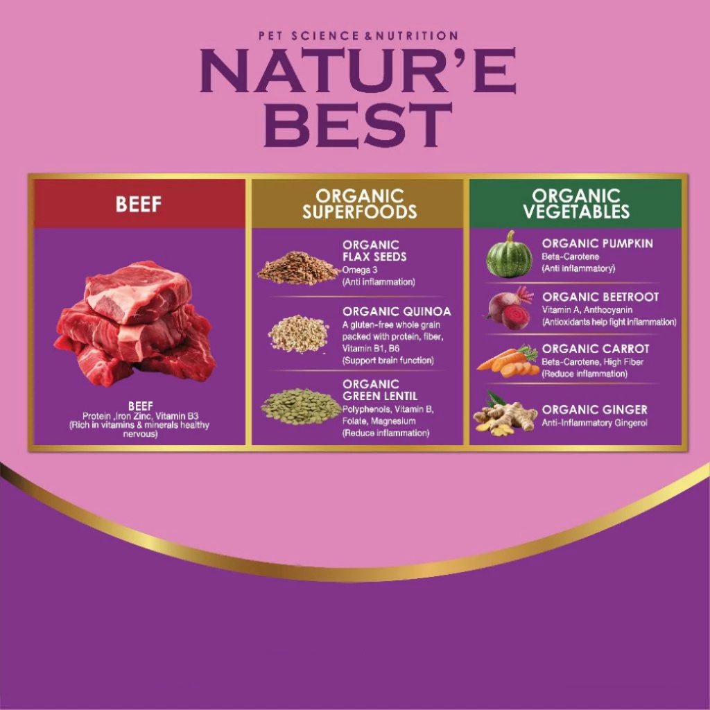 NatureBest : Support Brain & Anti Inflammation : สูตรบำรุงสมอง ช่วยลดอาการอักเสบ รสเนื้อ - Image 5