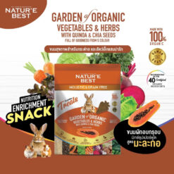 NatureBest Organic veggies & Superfood : ขนมสุขภาพกระต่าย หนูแฮมสเตอร์และสัตว์ฟันแทะ สูตรมะละกอ 40G.