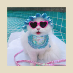 Alternative view of Purr Pet : หมวกสัตว์เลี้ยง รุ่น "ซัมเมอร์"