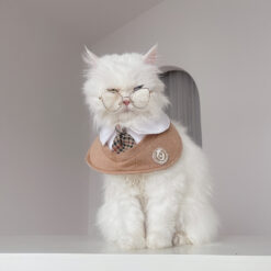 Purr Pet : เสื้อสเวตเตอร์สำหรับสัตว์เลี้ยง