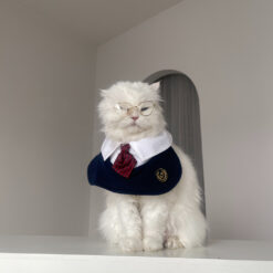 Alternative view of Purr Pet : เสื้อสเวตเตอร์สำหรับสัตว์เลี้ยง