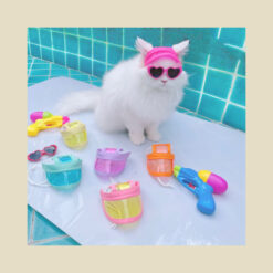 Purr Pet : หมวกสำหรับสัตว์เลี้ยง รุ่น "สีลม"