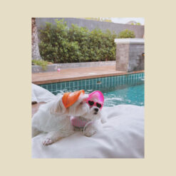 Alternative view of Purr Pet : หมวกสำหรับสัตว์เลี้ยง รุ่น "สีลม"