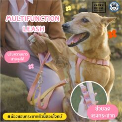 Alternative view of สายจูงสุนัข Multifunction Leash - Pawky House จากตัวแทนจำหน่ายอย่างเป็นทางการในประเทศไทย