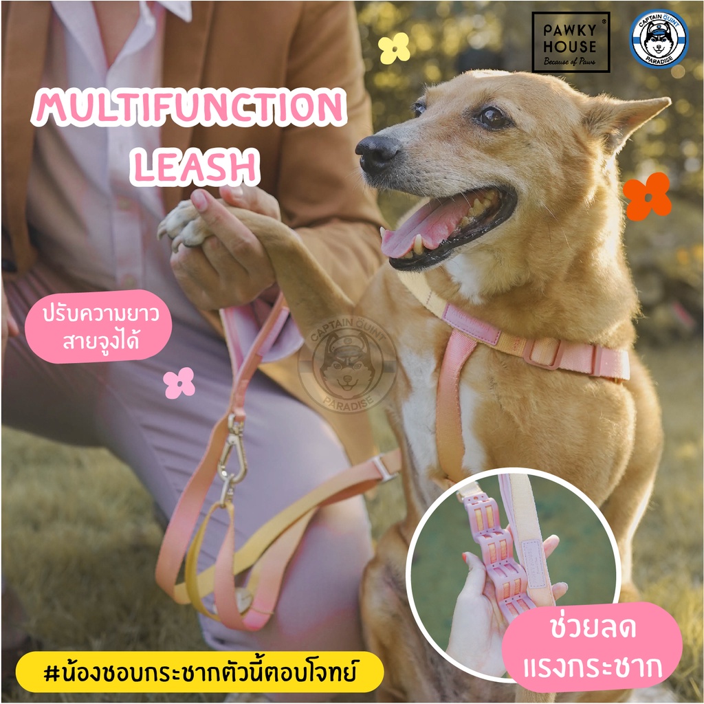 สายจูงสุนัข Multifunction Leash - Pawky House จากตัวแทนจำหน่ายอย่างเป็นทางการในประเทศไทย - Image 2