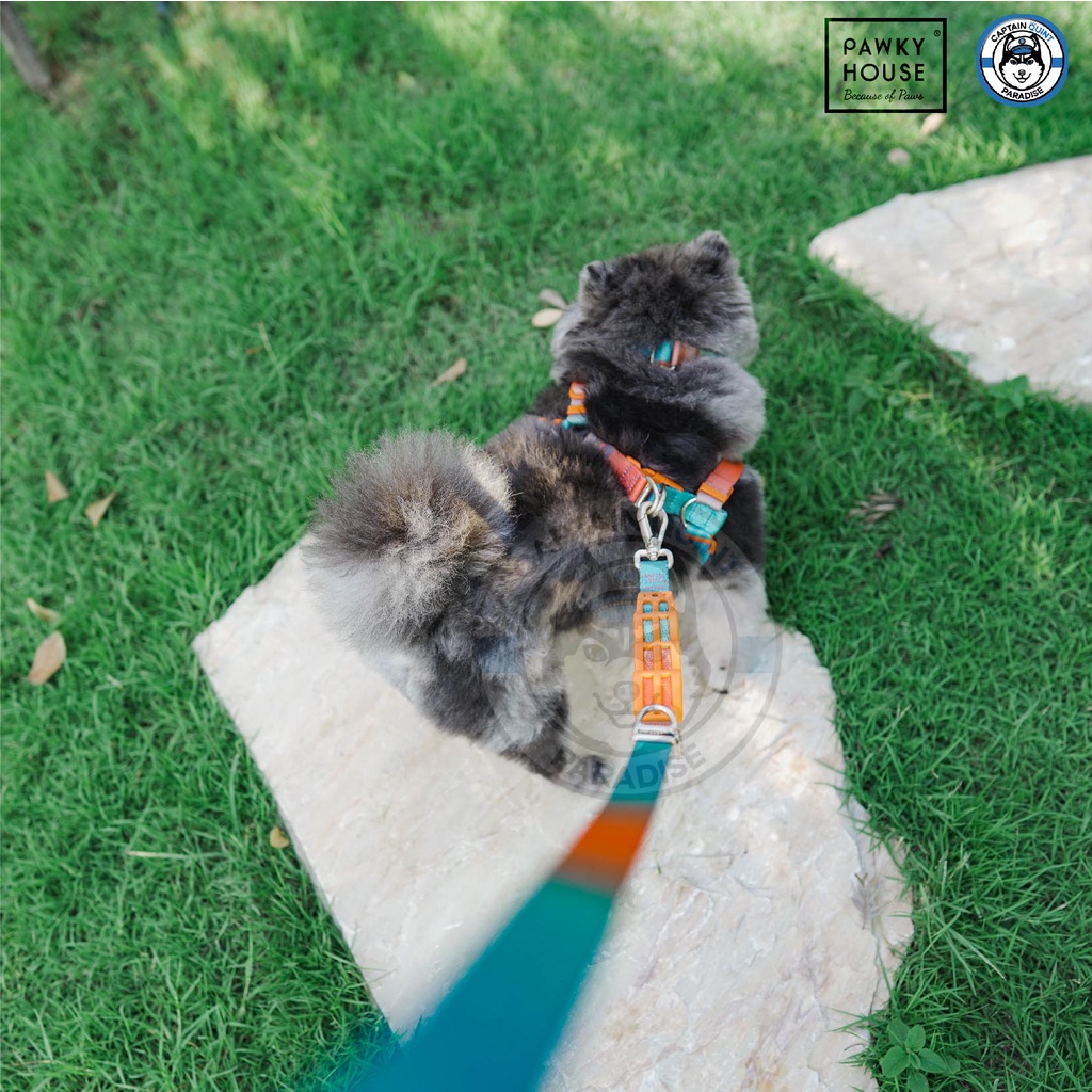 สายจูงสุนัข Multifunction Leash - Pawky House จากตัวแทนจำหน่ายอย่างเป็นทางการในประเทศไทย - Image 3