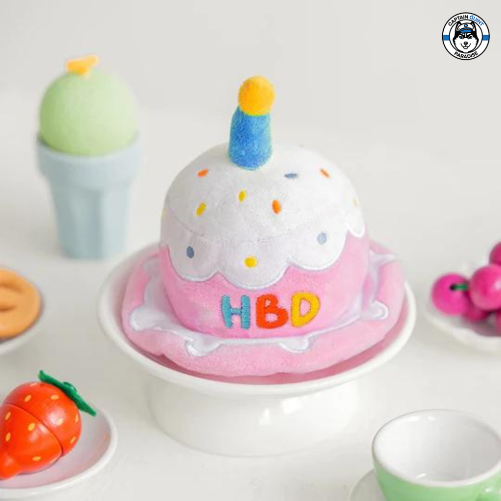 Mellow : Birthday Hat หมวกของน้องหมาน้องแมว