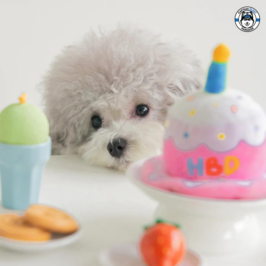 Mellow : Birthday Hat หมวกของน้องหมาน้องแมว - Image 2