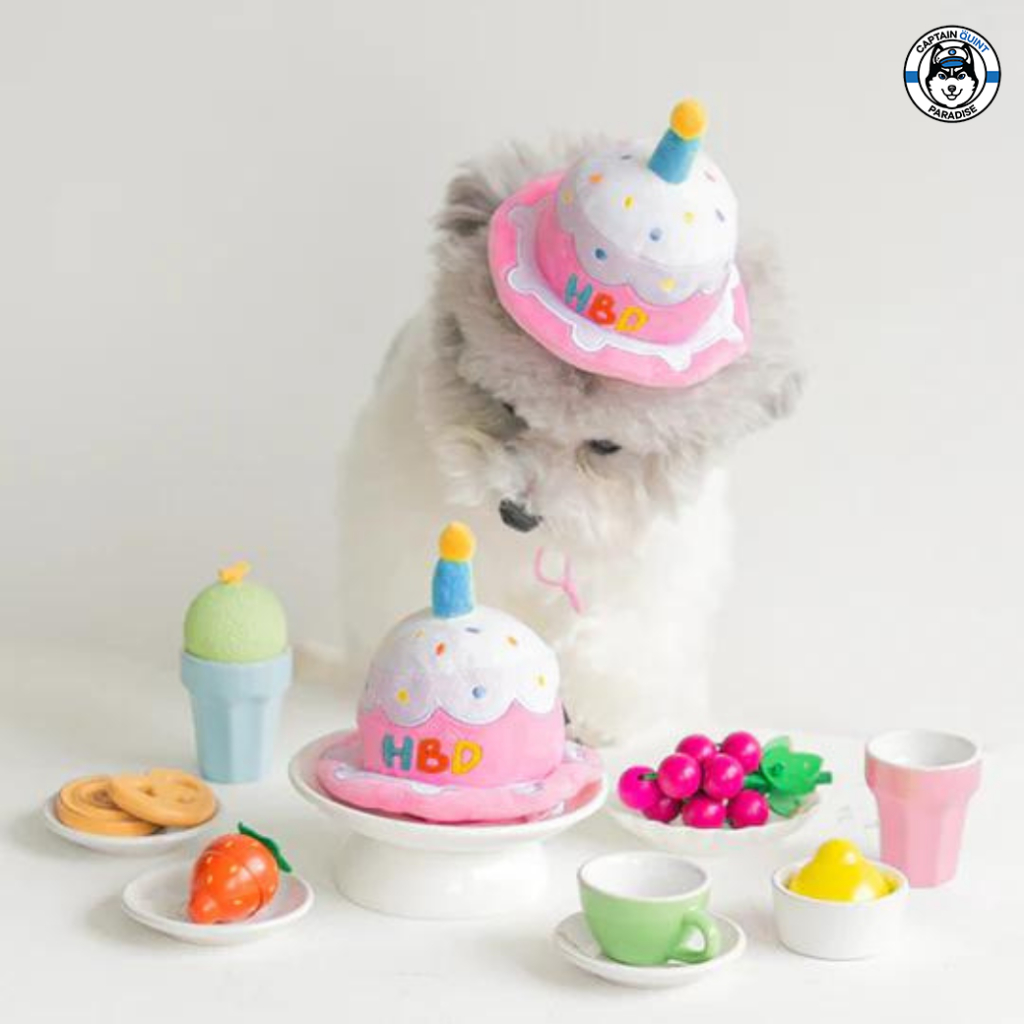 Mellow : Birthday Hat หมวกของน้องหมาน้องแมว - Image 3