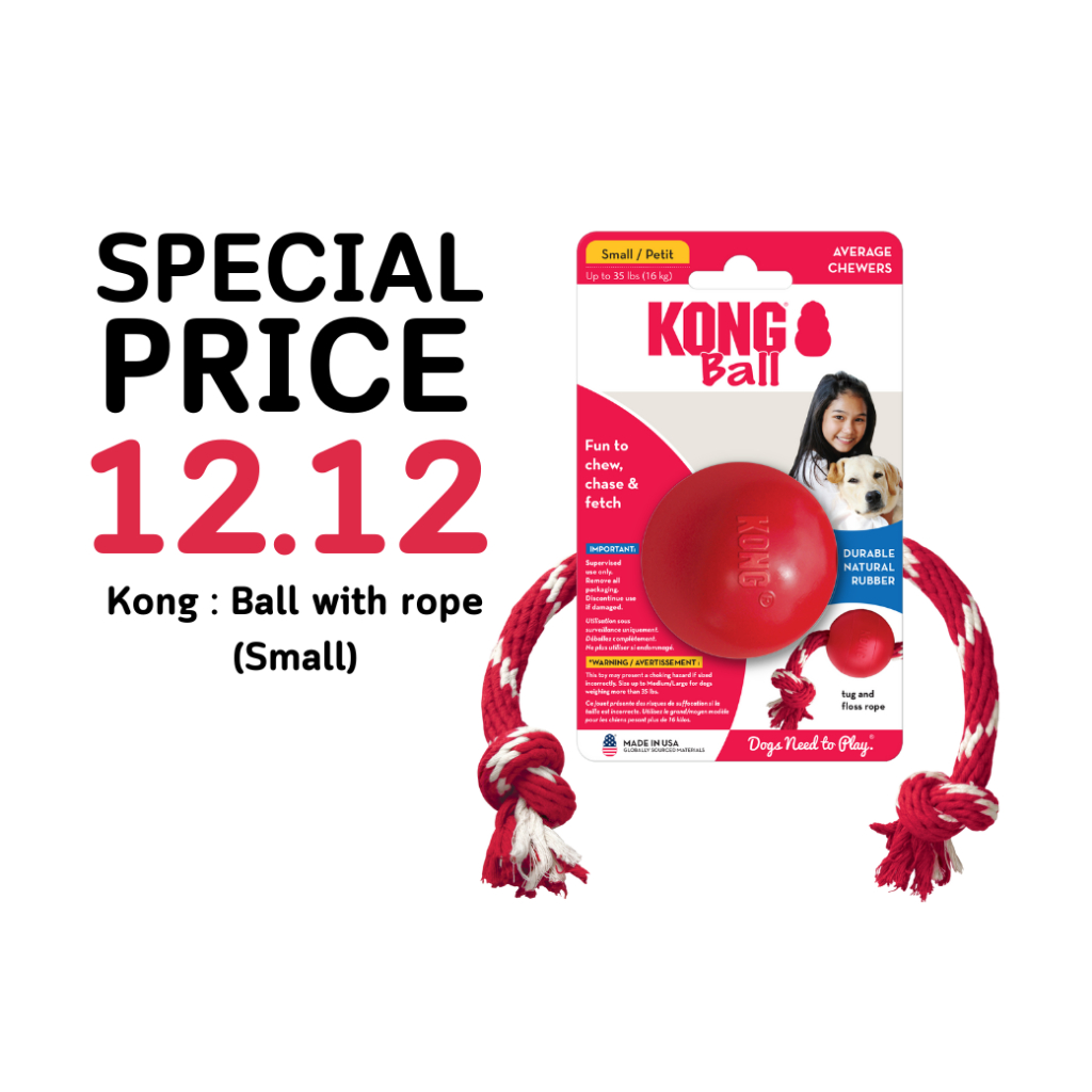 KONG *สินค้าราคาโปรโมชัน* Kong ของเล่นสำหรับสุนัข - Image 5