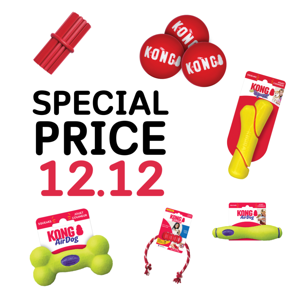 KONG *สินค้าราคาโปรโมชัน* Kong ของเล่นสำหรับสุนัข