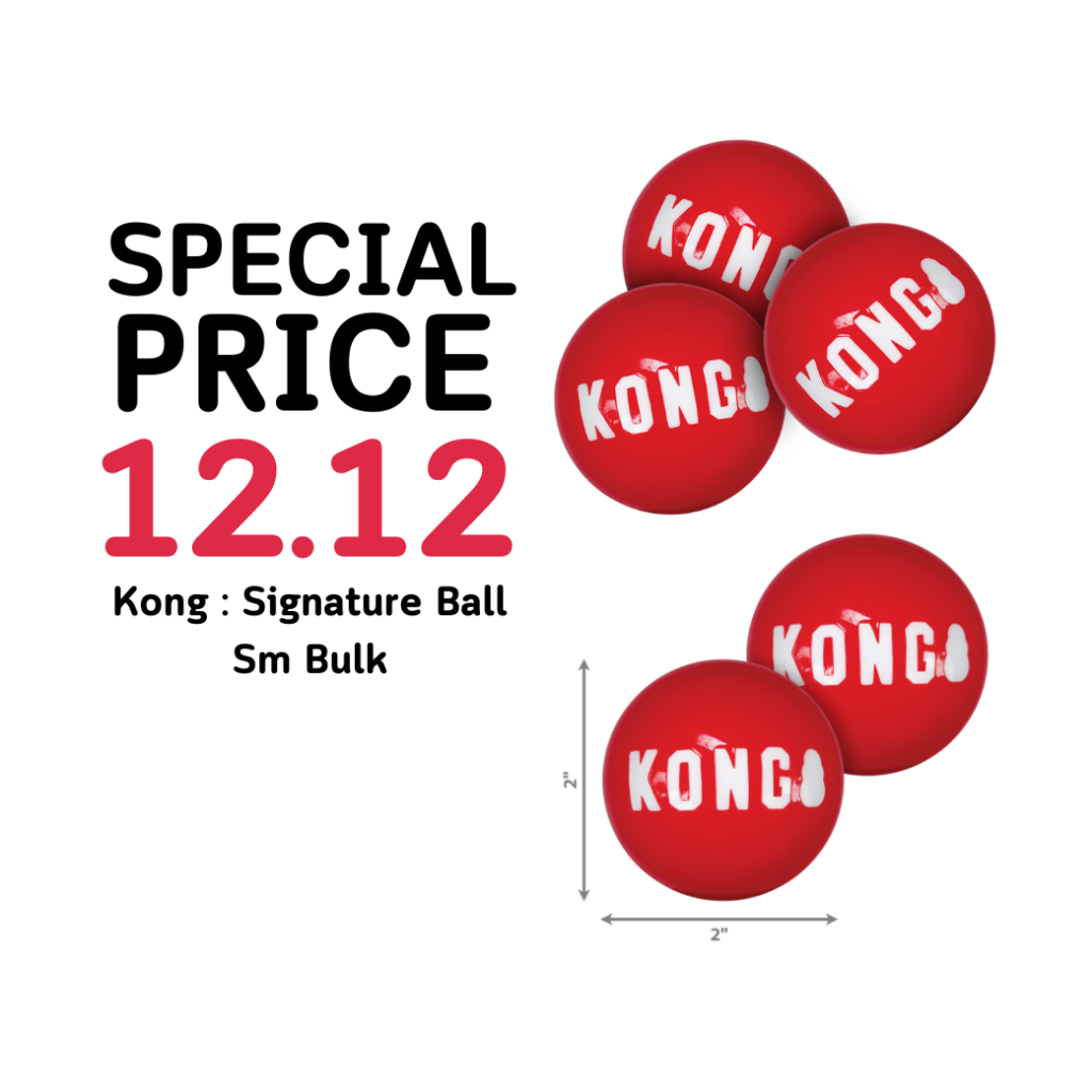 KONG *สินค้าราคาโปรโมชัน* Kong ของเล่นสำหรับสุนัข - Image 2