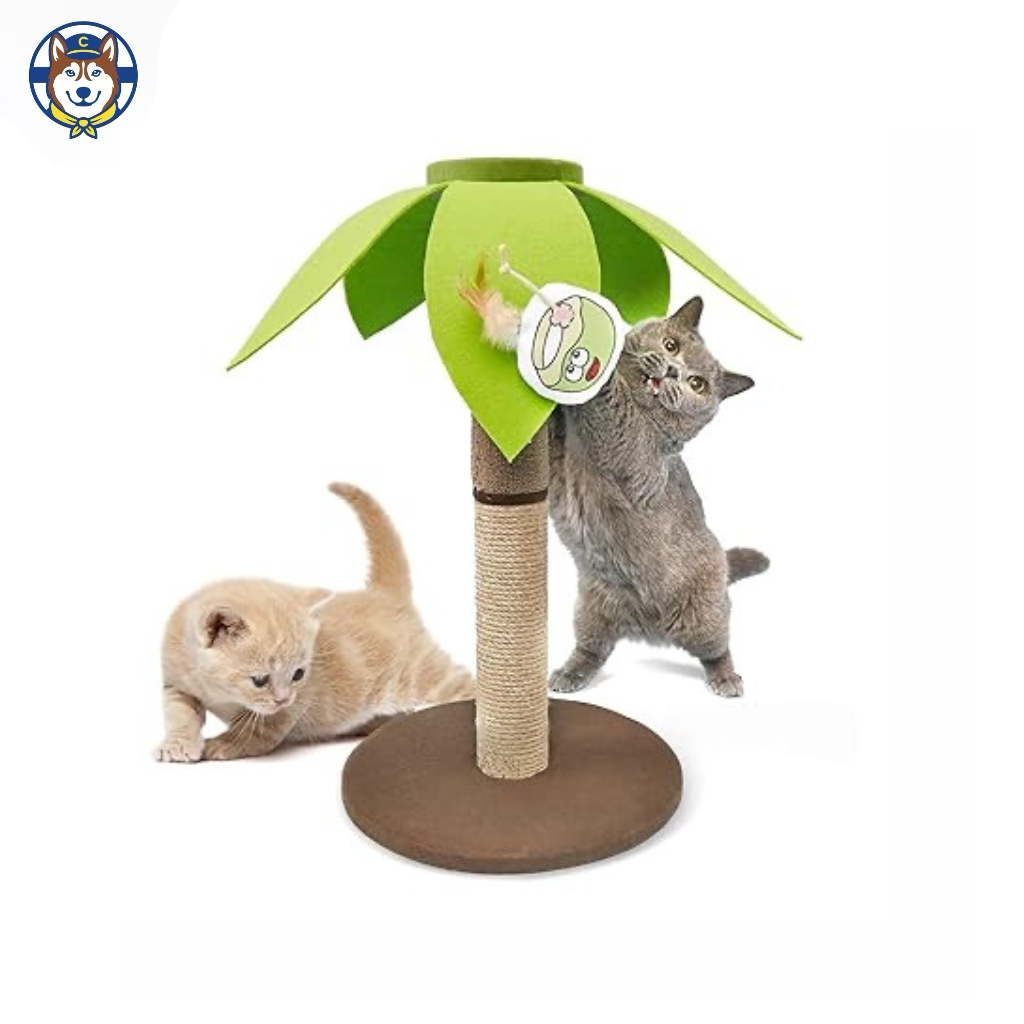 FOFOS Coconut Cat Scratcher ที่ลับเล็บแมว รูปต้นมะพร้าว สุดน่ารัก