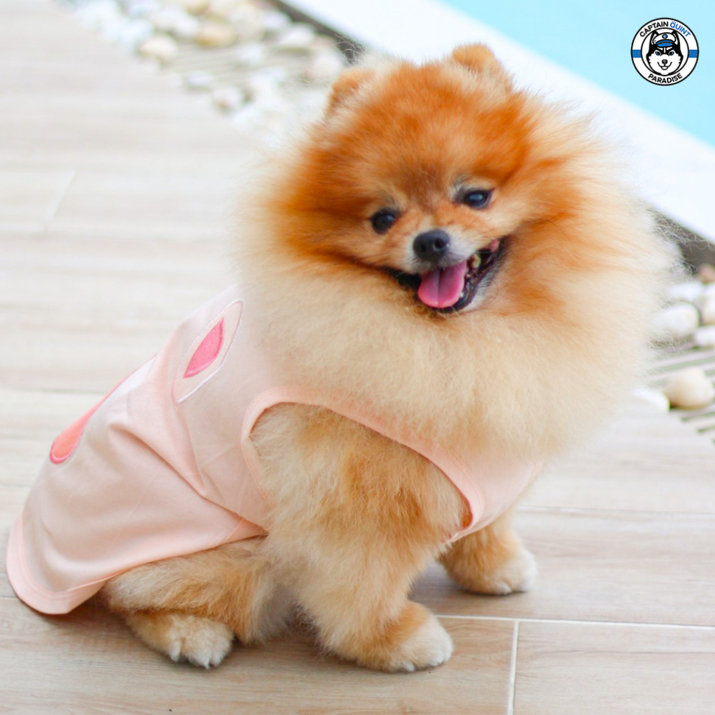 Mellow : Ham เสื้อน้องหมาน้องแมวหมูแฮม