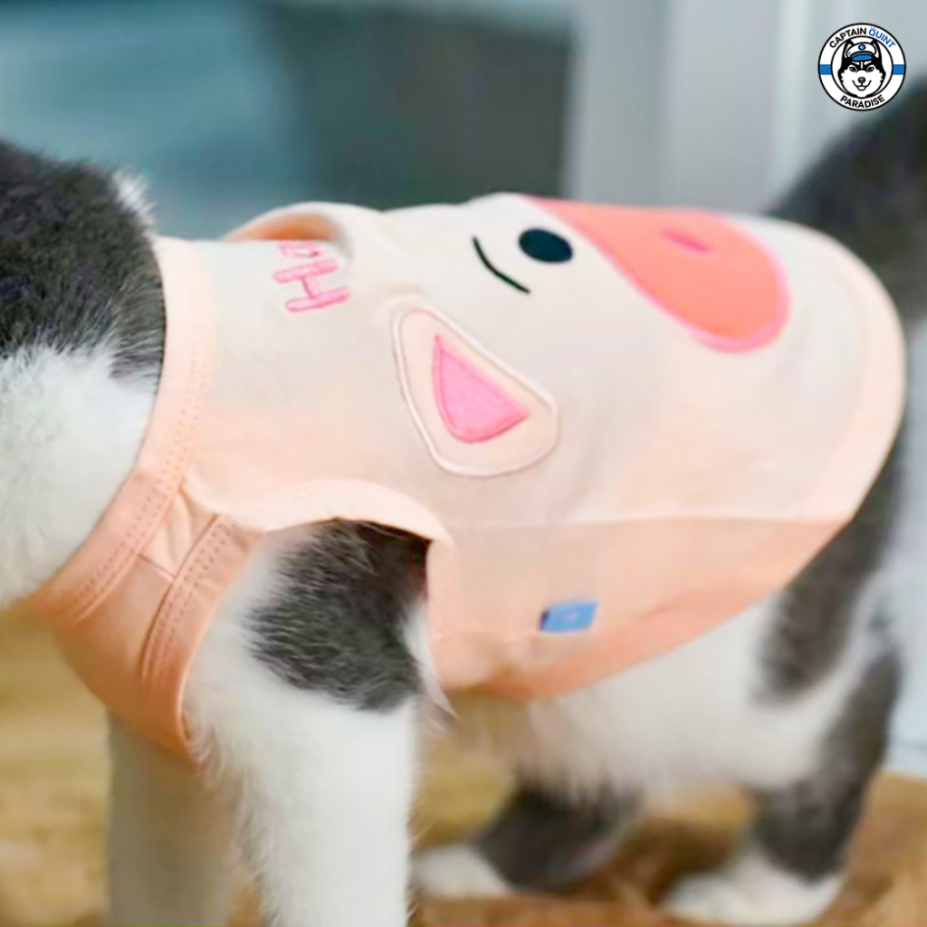 Mellow : Ham เสื้อน้องหมาน้องแมวหมูแฮม - Image 4