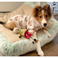 Alternative view of Mellow Bbear (เสื้อสำหรับน้องหมาน้องเเมว)