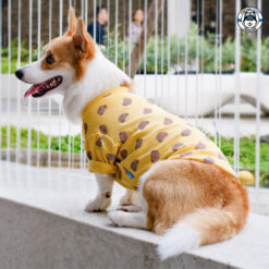 Mellow : Bear Yellow เสื้อน้องหมาน้องแมว หมีเหลือง