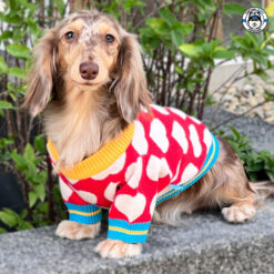 Mellow : Inlove เสื้อน้องหมาน้องแมว
