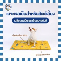 Pet Cooling Mat แผ่นเก็บความเย็นสำหรับสัตว์เลี้ยง (Urban Moof)
